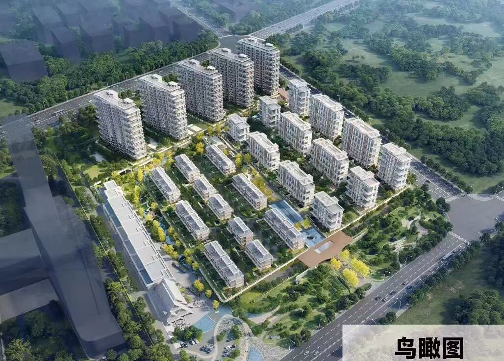 项目效果图